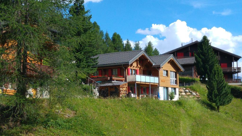 Chalet Enzian Риедералп Екстериор снимка