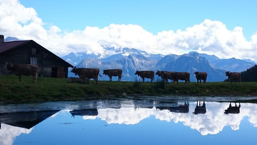 Chalet Enzian Риедералп Екстериор снимка